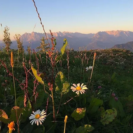 Kaiserblick At Sankt Markus * 雷特温克尔